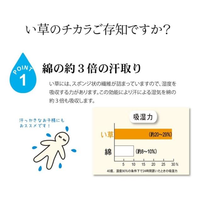 純国産 い草のシーツ 寝ござ 白水 シングル約88×180cm 熊本県八代産イ草使用 送料無料-8
