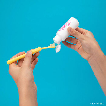 ピジョン 親子で乳歯ケア ジェル状歯みがき ほんのりいちご味 40mL 5個セット 送料無料-4