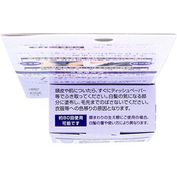 ＤＨＣ Ｑ１０美容液 クイック白髪かくし ライトブラウン ４．５ｇ 2個セット 送料無料-2