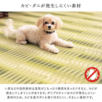 ラグ 洗える ござ ベージュ江戸間6畳（約261×352cm）　日本製 国産 カーペット 丈夫 除菌スプレー対応 敷詰 ラグ 敷物 日和 送料無料-4