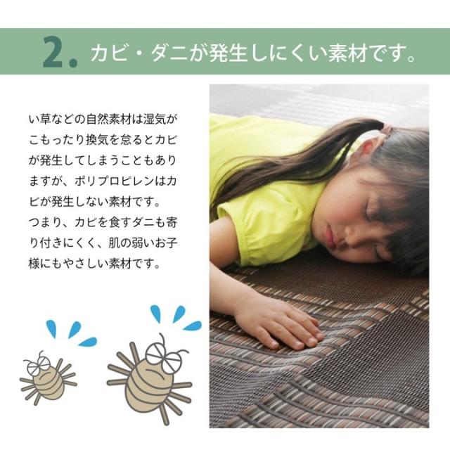ラグ 江戸間6畳 PPカーペット Fウィード 送料無料-3