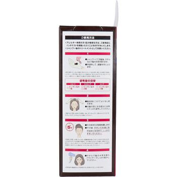 DHC Q10プレミアムカラートリートメント SS ブラックブラウン 150g 2個セット 送料無料-2