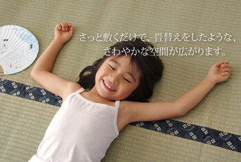 日本製 本間2畳（191×191cm）い草 上敷梅花 ばいか 送料無料-2