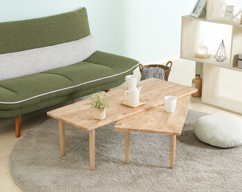 Natural Signature センターテーブル ツイン 3色展開 送料無料-3