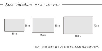 玄関マット 約50×80cm トルコ製 ウィルトン織り 抗菌防臭 消臭機能 へたりにくい ギャベ イビサ2 玄関マット 送料無料-3