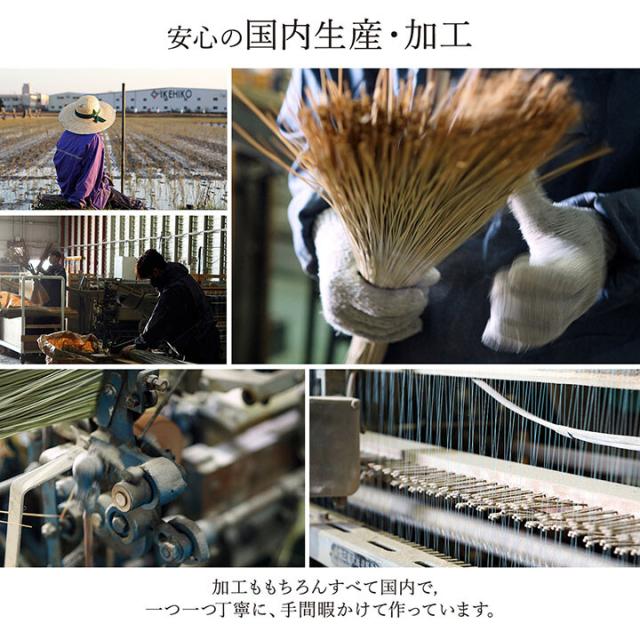 ラグ マット 約95×150cm 国産 日本製 い草 モダン 抗菌防臭 自然素材 ランクス 送料無料-8