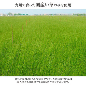 ラグ マット 約176×230cm 国産 日本製 い草 モダン 抗菌防臭 自然素材 不織布 DXランクス 送料無料-6