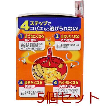 アース コバエがホイホイ １個入 5セット 送料無料-3