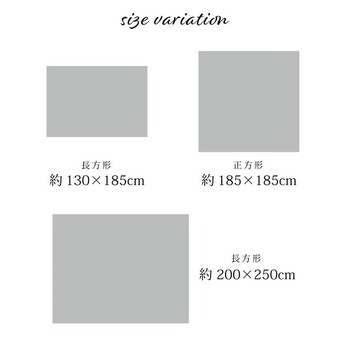 ラグ 約200×250cm 手洗い ジャガード織 メダリオン柄 床暖房 ホットカーペット対応 シンフォニー 送料無料-9