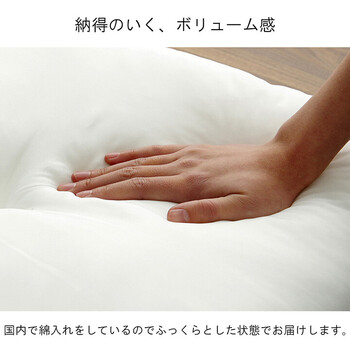 ヌードクッション 国産 日本製 洗える シート 椅子用 アイボリー 約45×45cm 2枚組 ヌード 45角シート　アイボリー 2個セット 送料無料-3