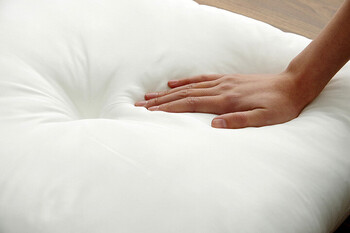 ヌードクッション 国産 日本製 洗える シート 椅子用 アイボリー 約45×45cm 2枚組 ヌード 45角シート　アイボリー 2個セット 送料無料-1