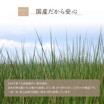 日本製 国産 消臭剤 い草 天然素材 い草消臭デオグラス 3個セット 送料無料-2
