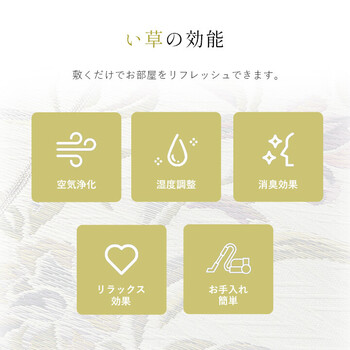 い草花ござ DXエクセレント 約261×261cm 裏 不織布 送料無料-5