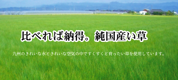 カーペット 純国産 イ草花ござカーペット 約174×174cm 扇 送料無料-8