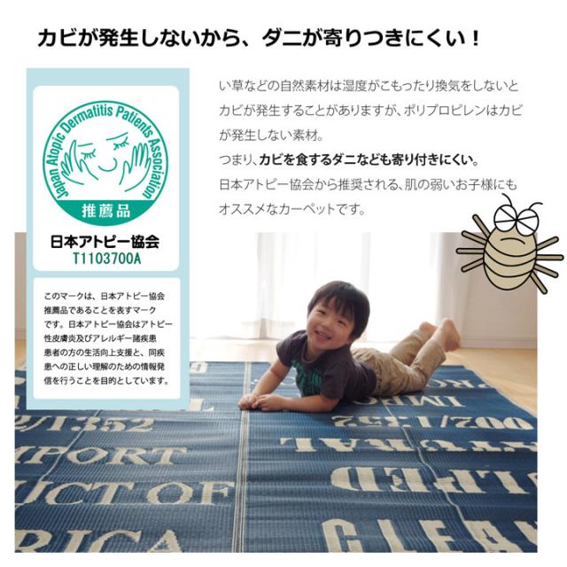 ラグ 万能カーペット 約174×174cm　日本製 アトピー協会推奨品 タイポグラフィ 洗えるポリプロピレンラグ トリド 送料無料-2