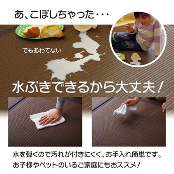 置き畳 約82×82×1.7cm4P 日本製 水拭きできる ポリプロピレン ユニット畳 スカッシュ 軽量タイプ 送料無料-2