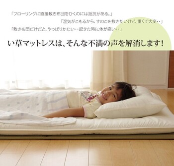 日本製 折りたたみ ダブル約140×210cm マットレス い草マットレス 送料無料-16
