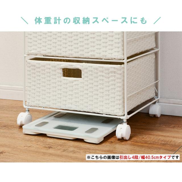 ランドリー 幅60.5cm RAN-2416 送料無料-5