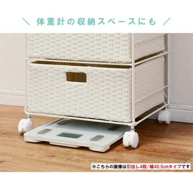 ランドリー 幅40.5cm RAN-2415 送料無料-5