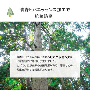 日本製 い草 い草マット 約70×120cm 子供用 お昼寝 シンプル 星柄 約70×120cm デニムスターベビーマット 送料無料-6