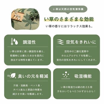 ラグ 約191×250cm い草 リーフ 自然素材 抗菌防臭 滑り止め不織布 NSセレス 送料無料-5