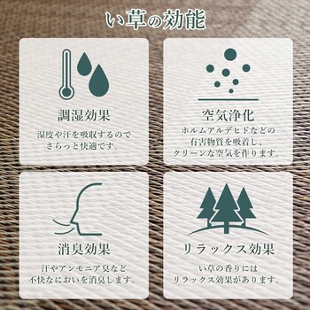 カーペット ござ 江戸間2畳（約174×174cm） 日本製 国産 敷詰 ラグ 敷物 い草 消臭 抗菌防臭 滑り止め 防炎 市松 DXノア 送料無料-6