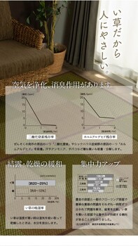 ラグ い草ラグ 花ござ 江戸間3畳（約174×261cm） カーペット ラグ 格子柄 市松柄 DXピーア 送料無料-1