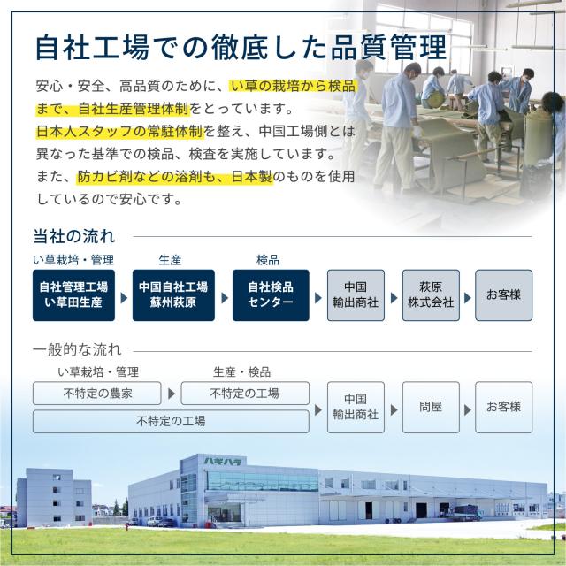 お手頃上敷き い草 江戸間2畳 双目織 柳川 やながわ 送料無料-9