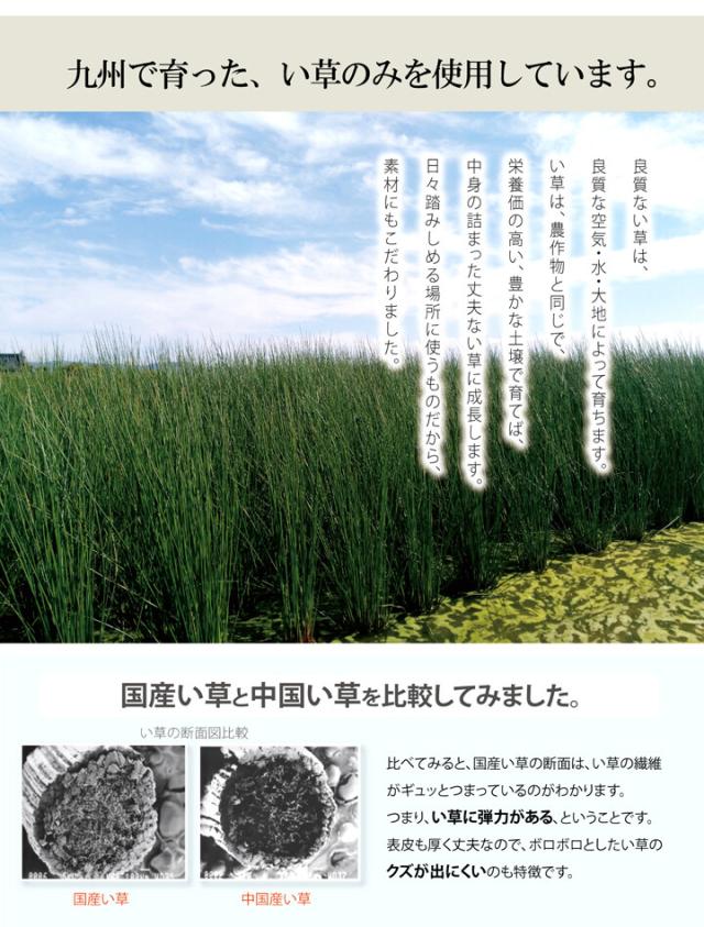 新生活 純国産 い草玄関マット ベージュ約70×120cm Fなつこ 裏 ウレタン 送料無料-1