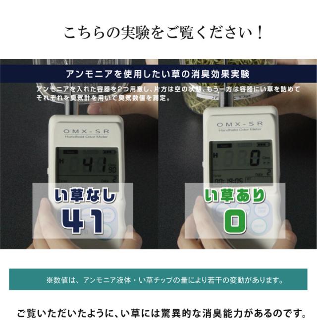 新生活 純国産 い草玄関マット ベージュ約70×120cm Fなつこ 裏 ウレタン 送料無料-2