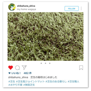 ふっくら贅沢な芝生風ジョイントマット シーヴァ 約60×60cm 9枚セット 送料無料-12