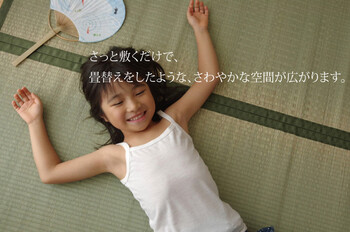 日本製 い草上敷 江戸間6畳（261×352cm） 草津 くさつ 送料無料-2