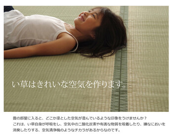 日本製 い草上敷 本間1畳 95×191cm 草津 くさつ 送料無料-4