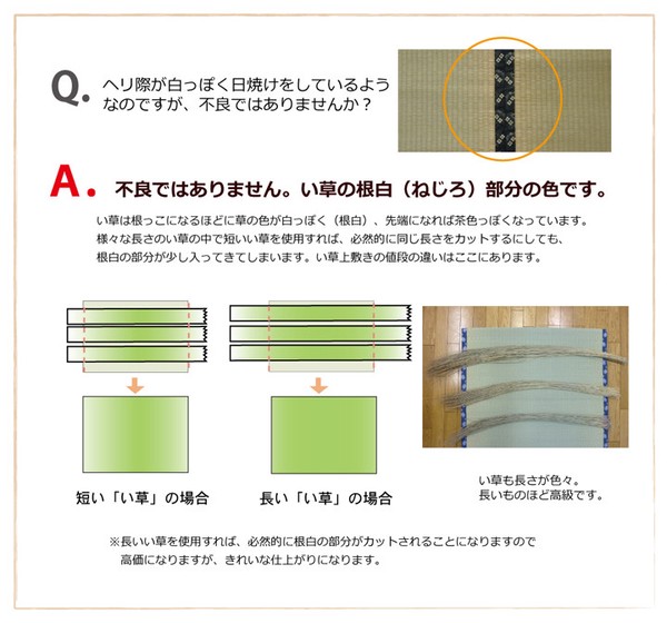 日本製 い草上敷 本間10畳(477×382cm) 松 まつ 送料無料-8