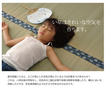 日本製 い草上敷 本間6畳(286×382cm) ほほえみ 送料無料-4