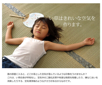 日本製 い草上敷 本間8畳（382×382cm） 湯沢 ゆざわ 送料無料-4