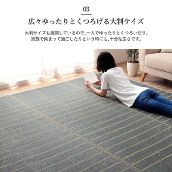 ラグ 約240×320cm い草 自然素材 シンプル ボーダー 裏面すべり止め付き 滑りにくい 抗菌防臭 NCXシルフ 送料無料-4
