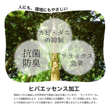 ラグ 約240×320cm い草 自然素材 シンプル ボーダー 裏面すべり止め付き 滑りにくい 抗菌防臭 NCXシルフ 送料無料-7