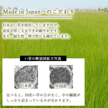 国産 い草 日本製 置き畳 約82×82cm 単品 ユニット畳 簡単 和室 ナチュラル ラッカル U畳 送料無料-10