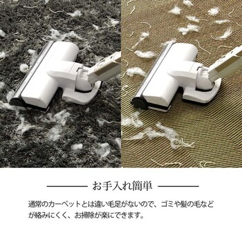 ラグ い草ラグ 本間2畳 約191×191cm 花ござ カーペット 格子柄 ナチュラル シンプル 和室 抗菌防臭 消臭 お手入れ簡単 ルネ 送料無料-4