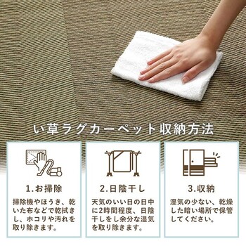 ラグ い草ラグ 本間8畳 約382×382cm 花ござ カーペット 格子柄 ナチュラル シンプル 滑りにくい 抗菌防臭 消臭 NDXルネ 送料無料-16