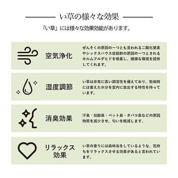 ラグ い草ラグ 本間8畳 約382×382cm 花ござ カーペット 格子柄 ナチュラル シンプル 滑りにくい 抗菌防臭 消臭 NDXルネ 送料無料-4