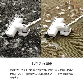 ラグ い草ラグ 本間8畳 約382×382cm 花ござ カーペット 格子柄 ナチュラル シンプル 滑りにくい 抗菌防臭 消臭 NDXルネ 送料無料-5