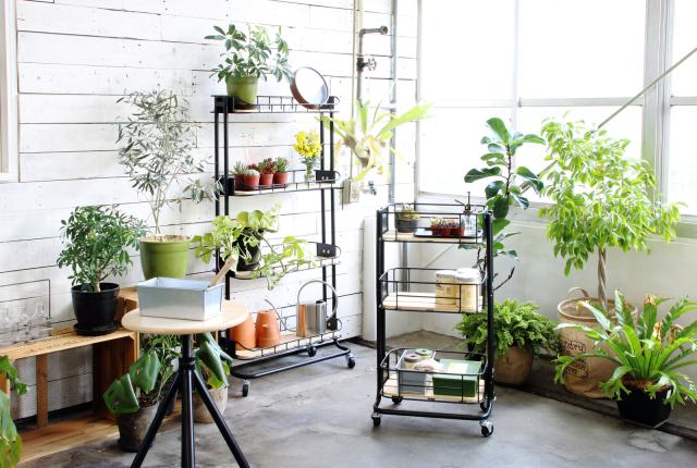 BYケージ ワゴン Mash 送料無料-20