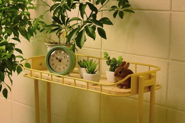 BYケージ ラック Mash 送料無料-16