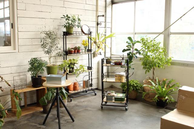 BYケージ ラック Mash 送料無料-19