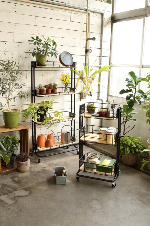 BYケージ ラック Mash 送料無料-20