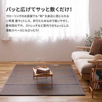 水拭きできる 4つ折り 約100×200×1.1cm PP 畳マットレス 綾模様 送料無料-1