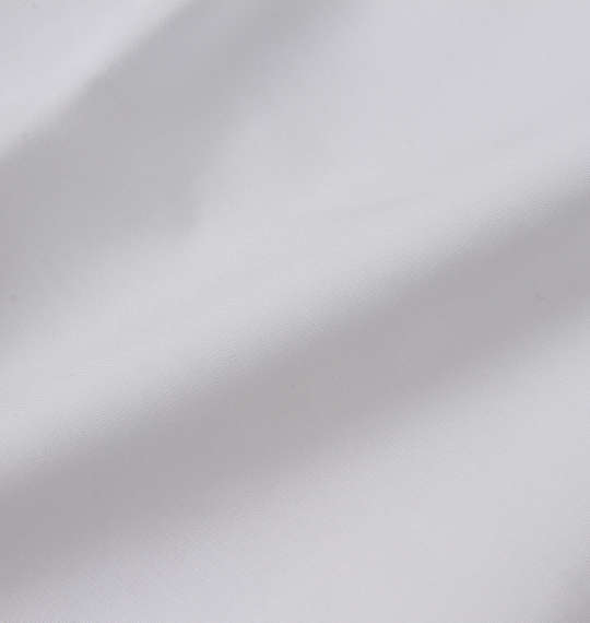 大きいサイズ マンチェス コレクション ウイングカラー長袖シャツ 3L 4L 5L 6L 7L 8L 9L ラッピング可 送料無料 即日発送-4