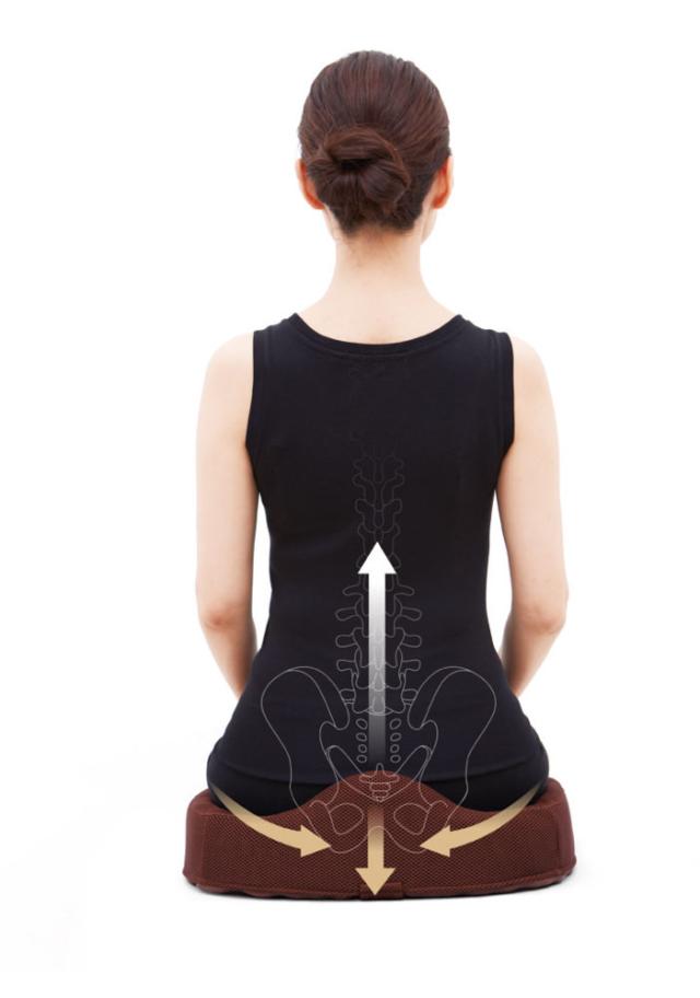 コジット 腰痛対策クッション ブラウン 送料無料-4